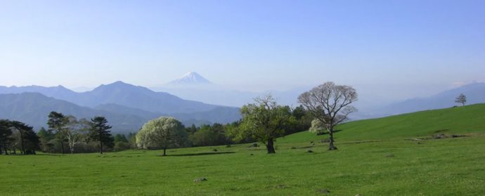 山梨県立まきば公園