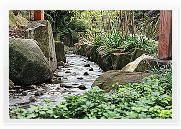 徳川園・虎の尾