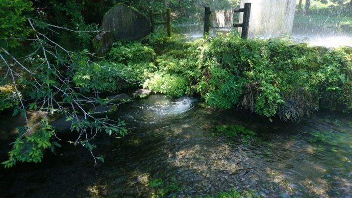 「出の山淡水魚水族館」のある出の山公園の湧水