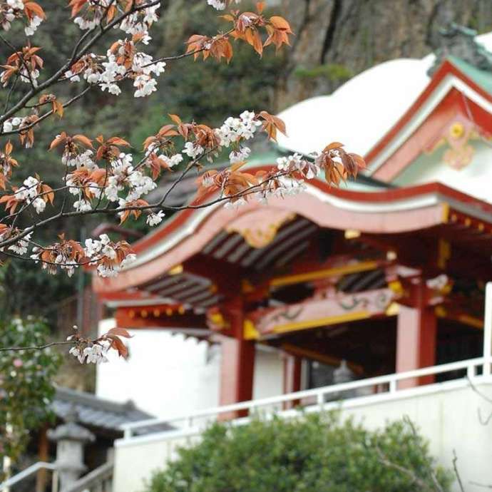 岩戸弘法弘峰寺の外観