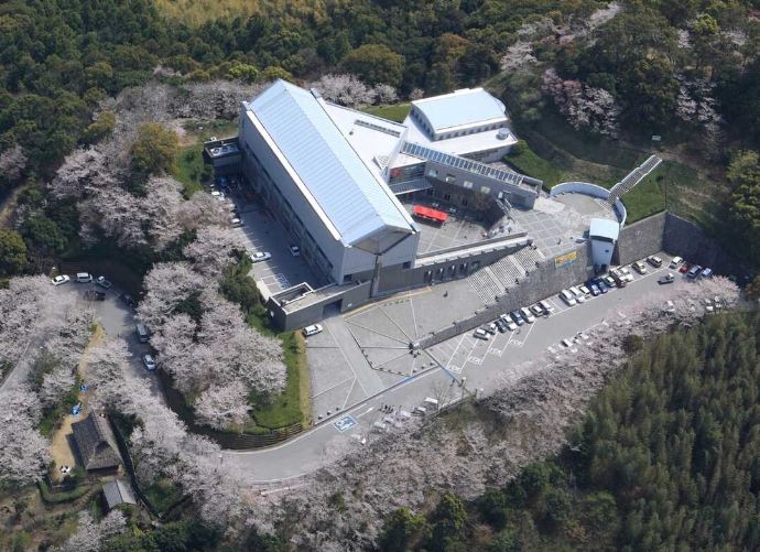 高知県立歴史民俗資料館周辺の満開の桜