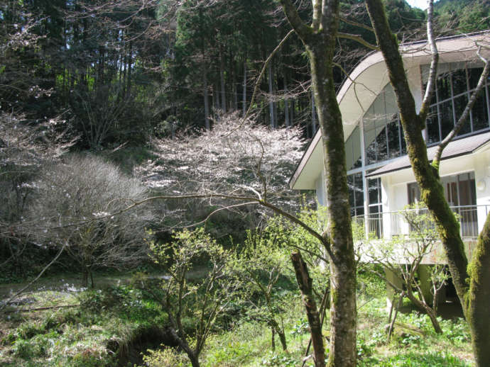 児玉美術館と自然公園