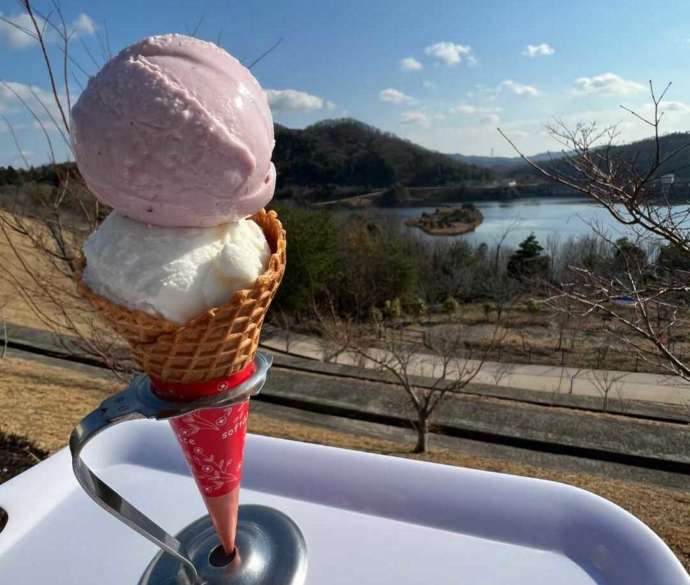 広島県東広島市の「道の駅 湖畔の里 福富」でいただけるジェラート