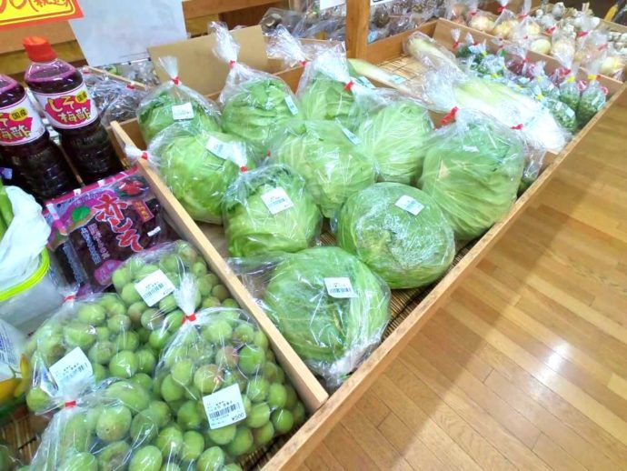 岡山県新見市にある道の駅鯉が窪で売られている梅やキャベツなど