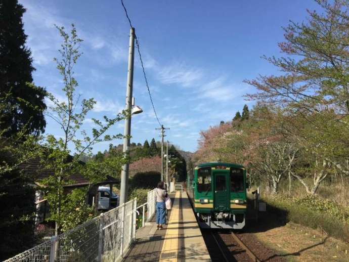 信楽高原鐵道雲井駅のホームに入る列車