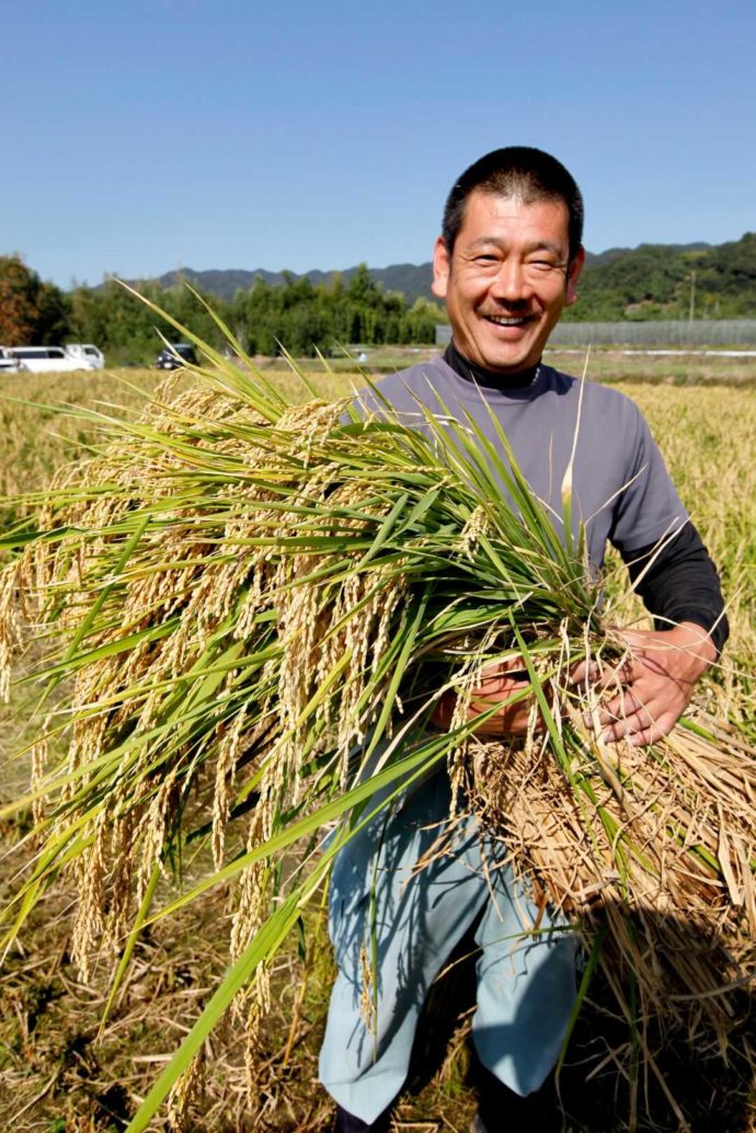 九重雜賀で使用される酒米の生産農家