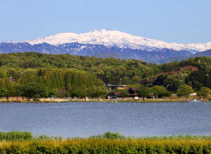 木場潟から見える白山の風景写真