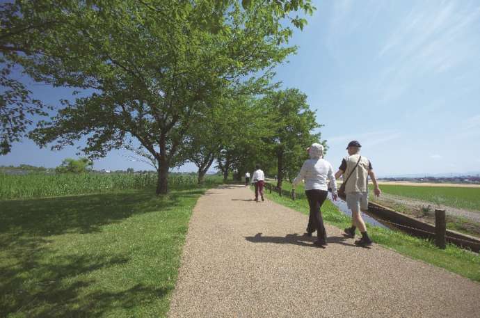 木場潟公園でウォーキングをする人々