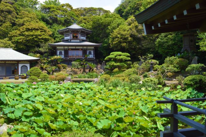 光明寺の庭園