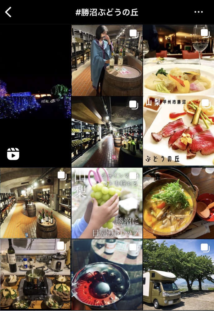 インスタグラムに投稿されたぶどうの丘の画像