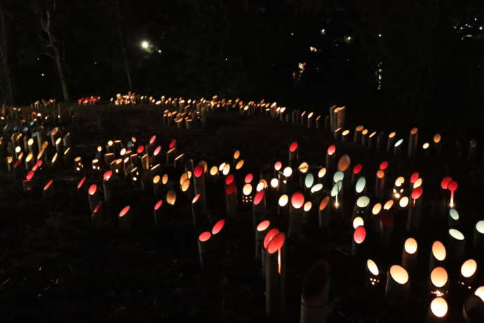 こうげ大池灯籠祭での燈籠が並んでいる写真