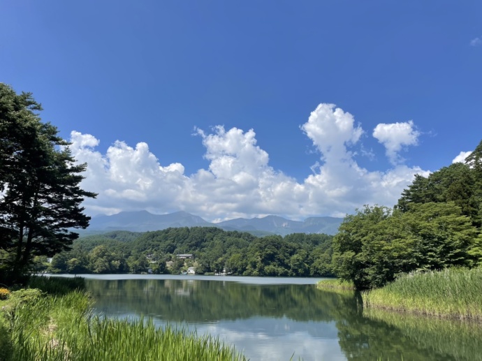 小海町の高原の風景