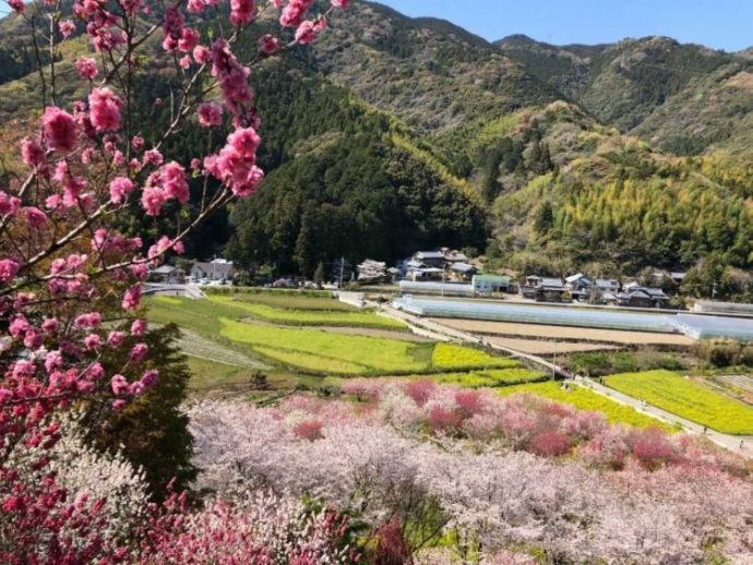 展望台からの眺め