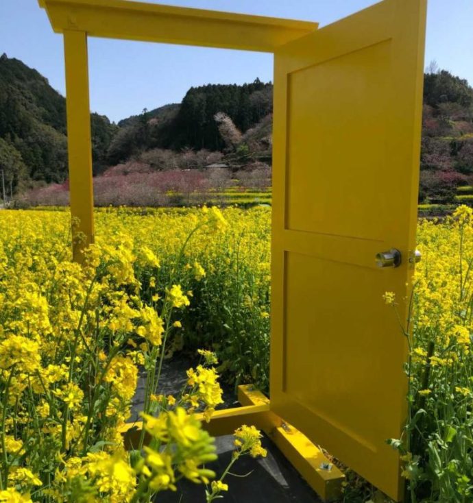 高知県香南市にある「西川花公園」にイベント期間中のみ置かれていた黄色いドア