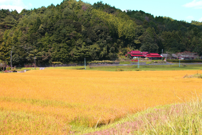 米川棚田