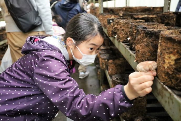 下松市にある「トクリン」で実施している「きのこ栽培工場見学・収穫体験」