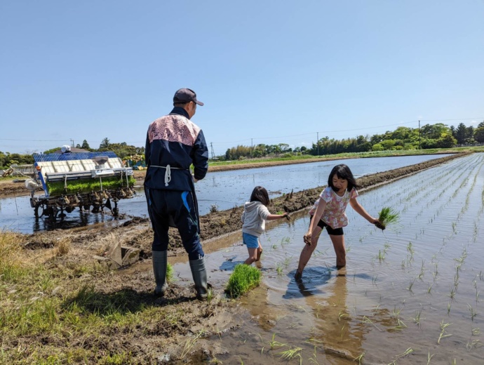 九十九里町で田植えを行う家族