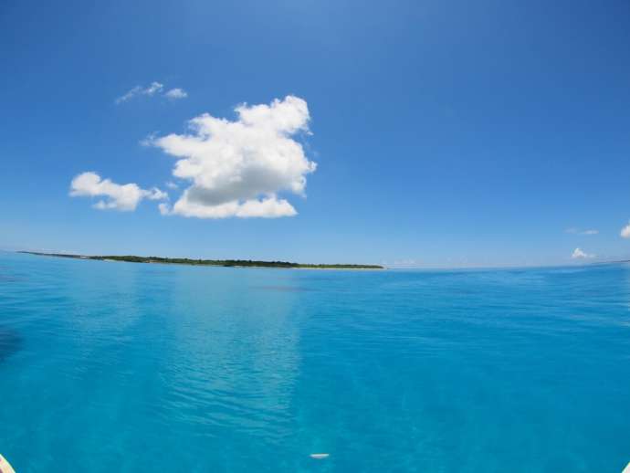 石垣島ダイビングショップ「KUKURU」の体験風景