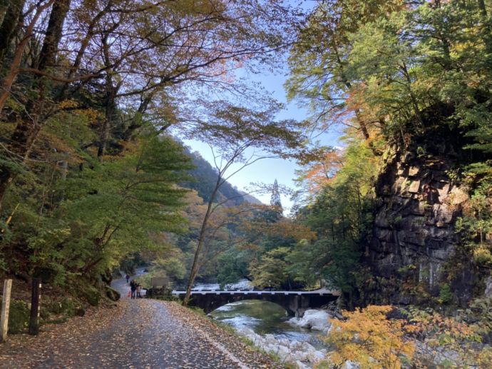 面河渓の紅葉