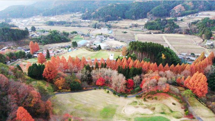 久万青銅之廻廊の周辺の風景