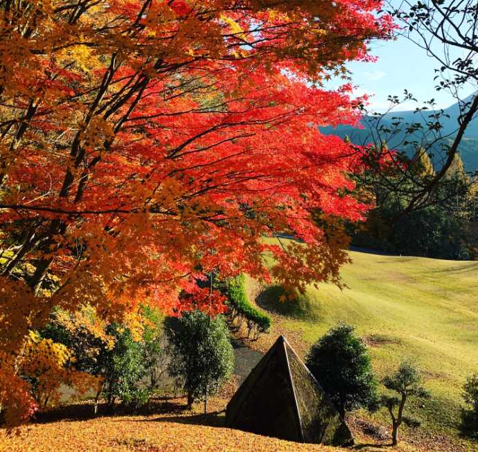 久万青銅之廻廊付近の紅葉が美しいスポット