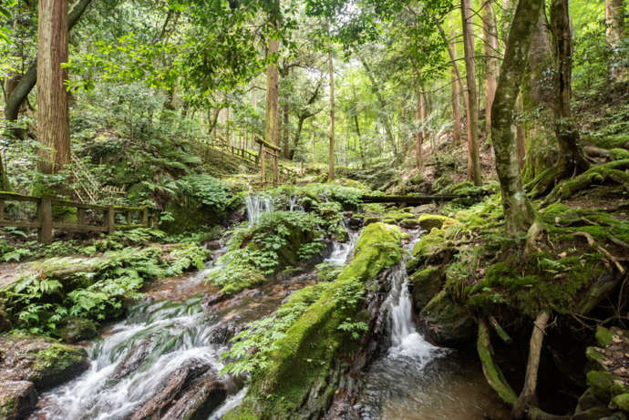 福井県若狭町熊川にある「若狭瓜割名水公園」内の「瓜割の滝」の写真