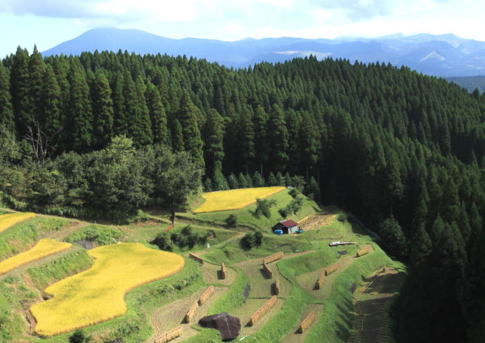 小国町の山の空撮写真