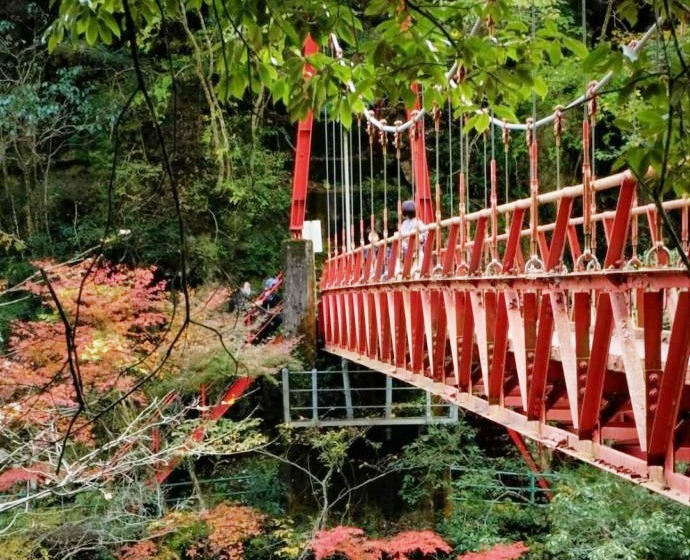 名勝長門峡に架かる紅葉橋