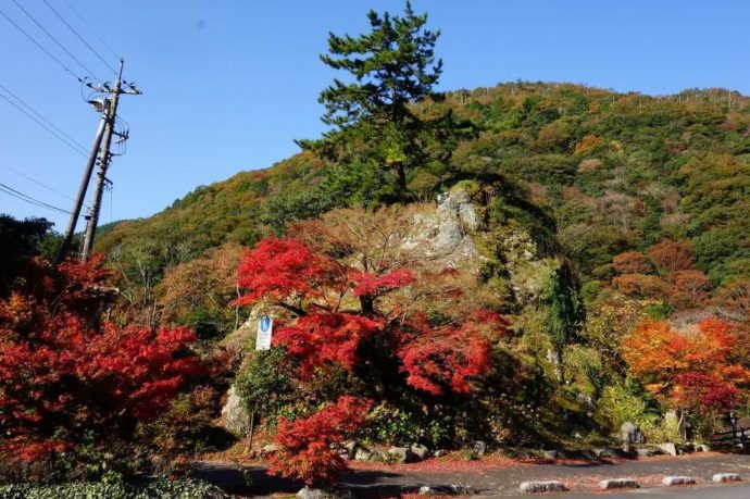 道の駅長門峡の近くで見られる紅葉