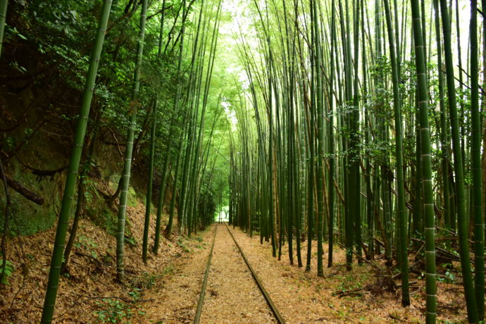 鳥取県倉吉市の旧国鉄倉吉廃線跡