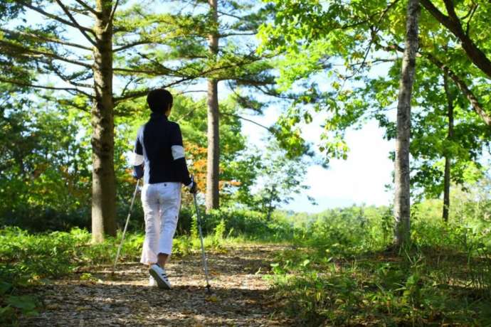 クアビオで体験できる「NATURE WALK」