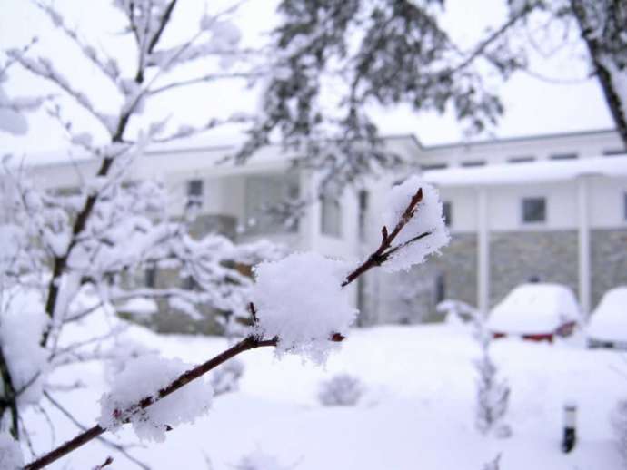 雪のシーズンのクアビオの外観