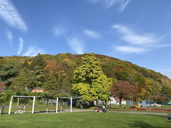 秋の栗山公園の様子