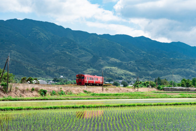 耳納連山を背景にした田園風景