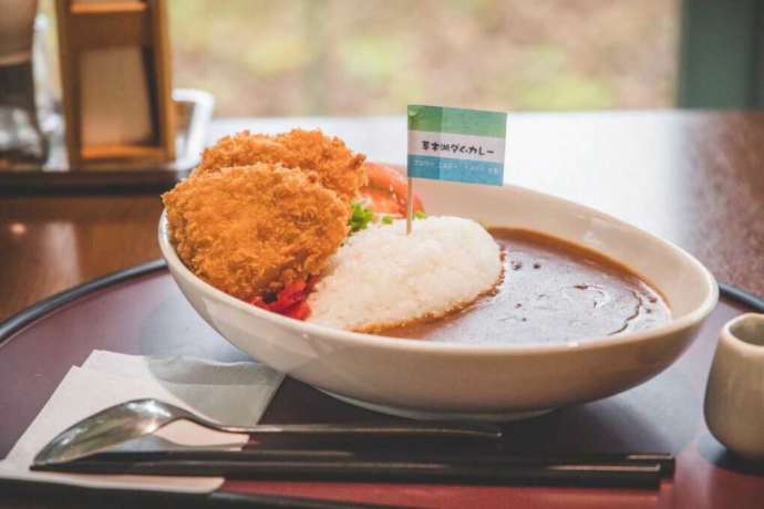 「サンレイク草木」で食べられるダムカレーの写真