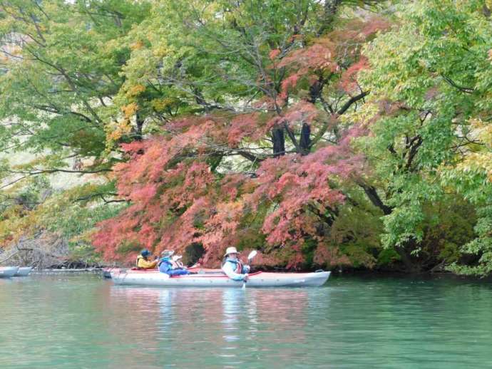 草木湖でカヌーを体験している方々の様子