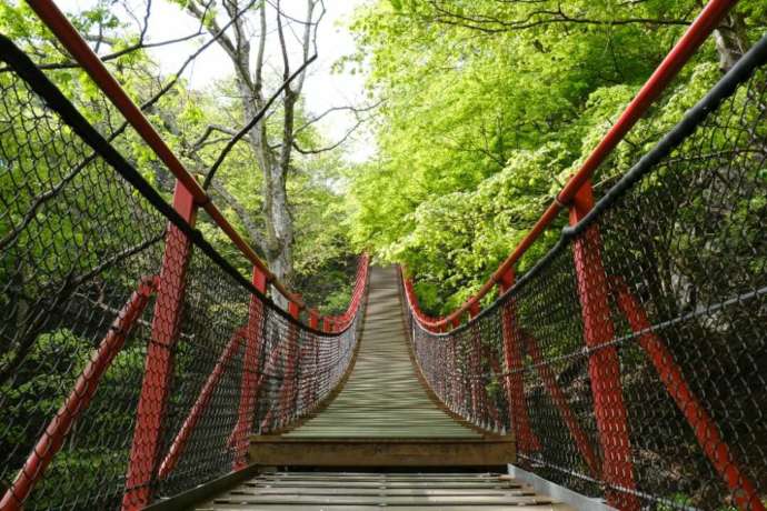 大滝自然公園にある「けさかけ橋」