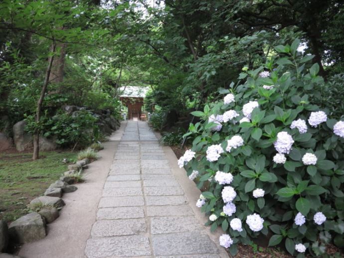 葛原岡神社を訪れた場合の見どころなどはありますか