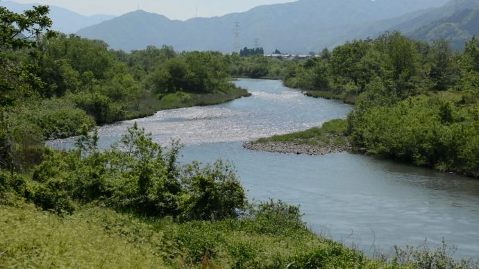 九頭竜川