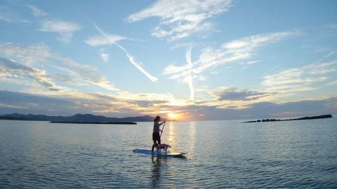 夕暮れの夕日ヶ浦海岸で犬とSUPに乗る女性