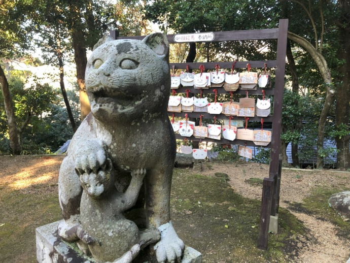 金刀比羅神社の狛猫と絵馬