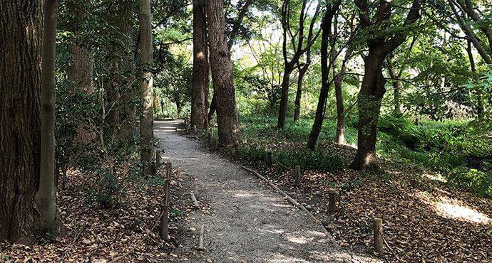 下鴨神社散策路