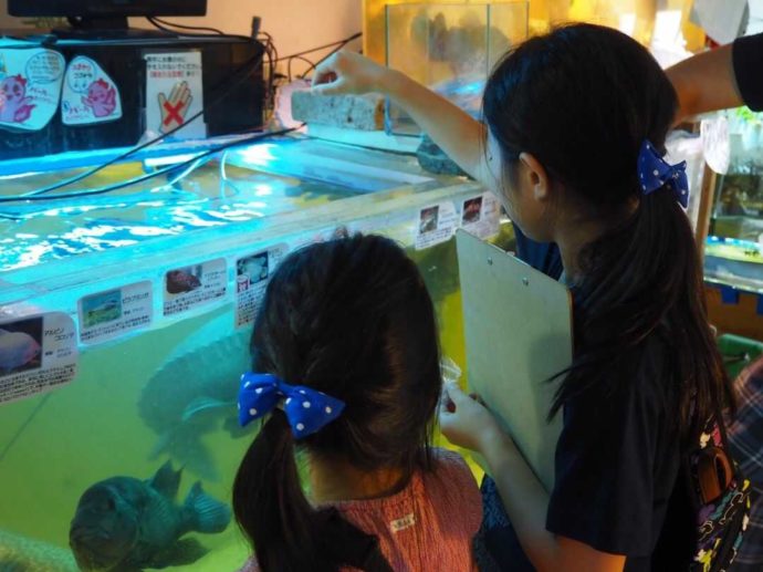 花園教会水族館で餌やり体験をする女の子たち