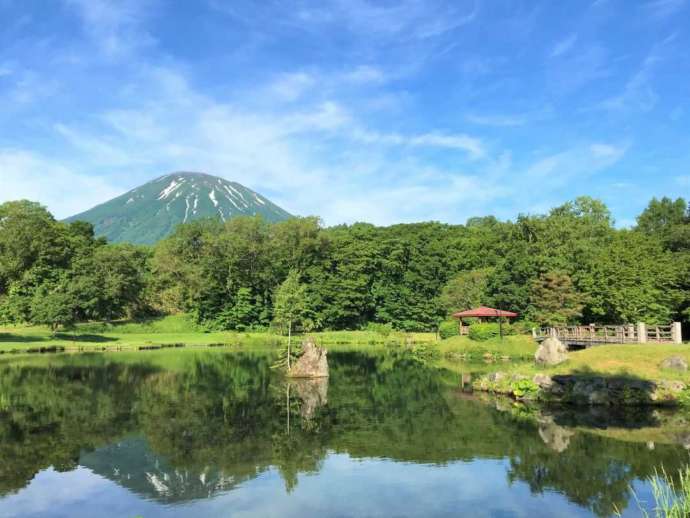 ふきだし公園の夏の様子