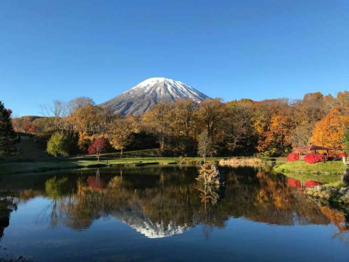 ふきだし公園の秋の景色