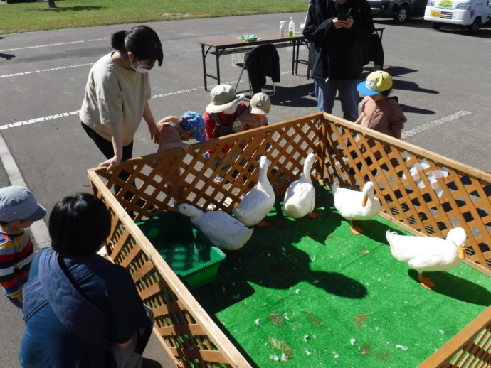 北海道共和町に住む親子がアヒルと触れ合う写真