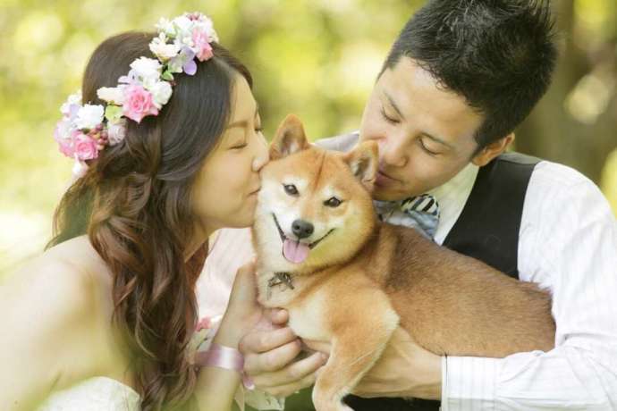 愛犬を抱っこしてキスしている新郎新婦