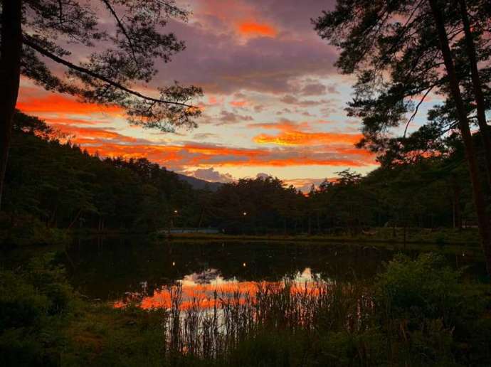 おおぐて湖キャンプ場周辺の湖畔の風景