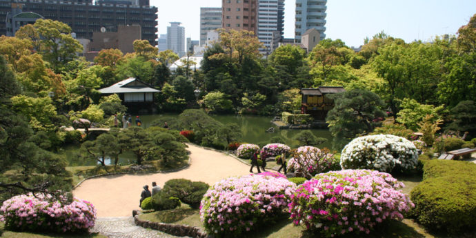 相楽園春の様子