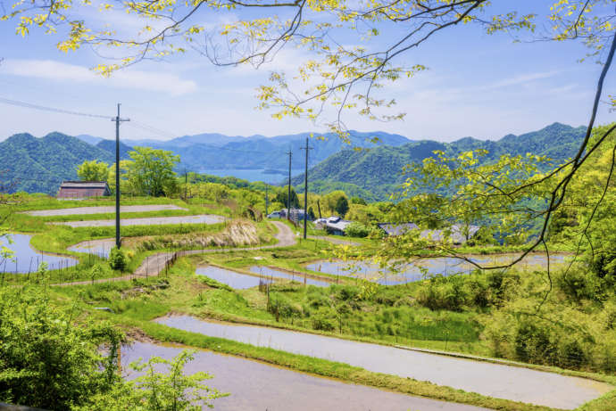 舞鶴市の農漁村エリア